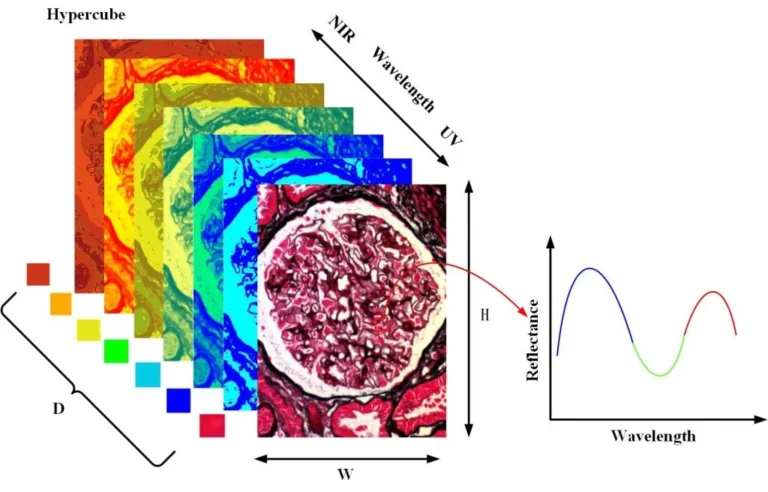 Multispectral vs Hyperspectral imagery